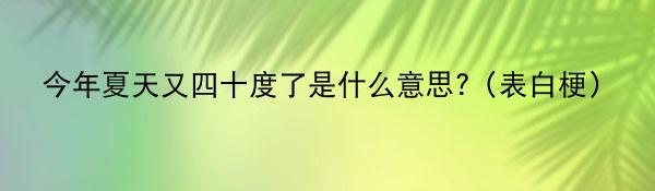 今年夏天又四十度了是什么意思?（表白梗）