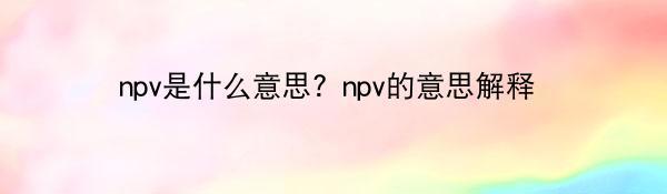 npv是什么意思？npv的意思解释