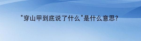 “穿山甲到底说了什么”是什么意思？