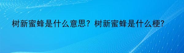 树新蜜蜂是什么意思? 树新蜜蜂是什么梗?