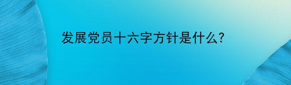 发展党员十六字方针是什么？