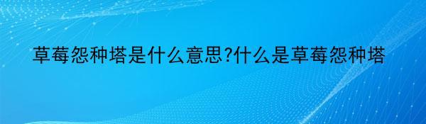 草莓怨种塔是什么意思?什么是草莓怨种塔