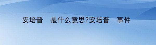 安培晋亖是什么意思?安培晋亖事件