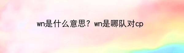 wn是什么意思? wn是哪队对cp