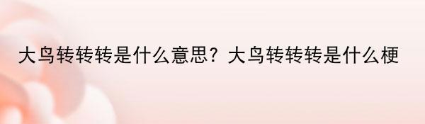 大鸟转转转是什么意思? 大鸟转转转是什么梗