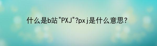 什么是b站“PXJ”?pxj是什么意思?