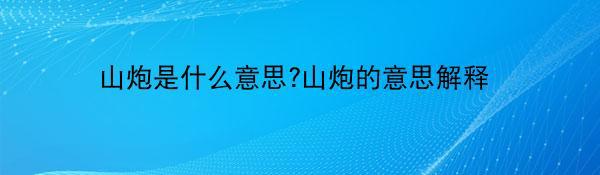 山炮是什么意思?山炮的意思解释