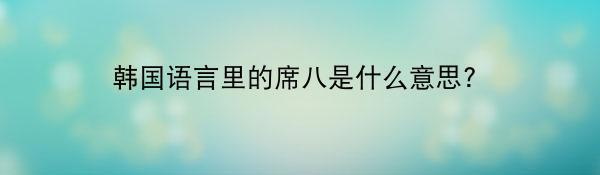 韩国语言里的席八是什么意思?