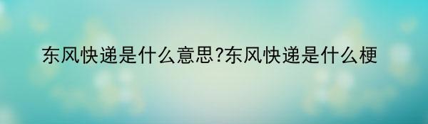 东风快递是什么意思?东风快递是什么梗