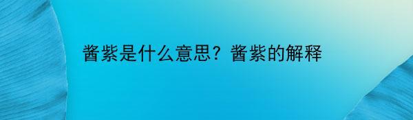 酱紫是什么意思? 酱紫的解释