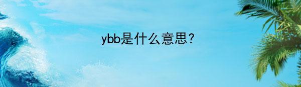 ybb是什么意思?