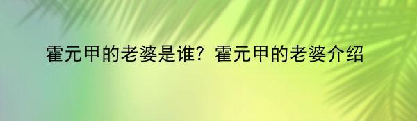 霍元甲的老婆是谁？霍元甲的老婆介绍