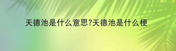 天德池是什么意思?天德池是什么梗