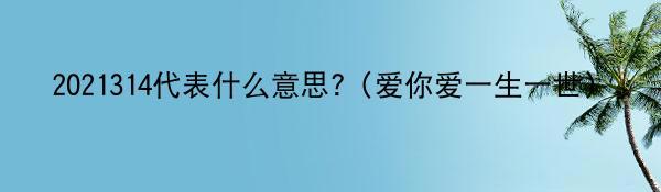 2021314代表什么意思?（爱你爱一生一世）