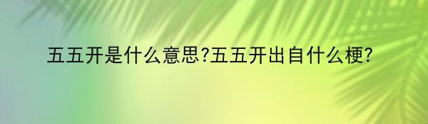 五五开是什么意思?五五开出自什么梗?