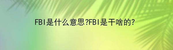 FBI是什么意思?FBI是干啥的？