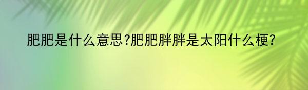 肥肥是什么意思?肥肥胖胖是太阳什么梗？