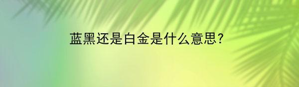 蓝黑还是白金是什么意思?