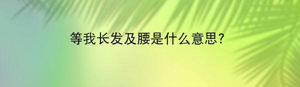 等我长发及腰是什么意思?