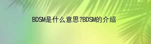 BDSM是什么意思?BDSM的介绍