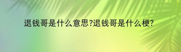 退钱哥是什么意思?退钱哥是什么梗？