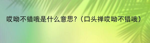 哎呦不错哦是什么意思?（口头禅哎呦不错哦）