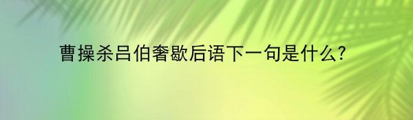 曹操杀吕伯奢歇后语下一句是什么？