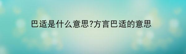 巴适是什么意思?方言巴适的意思