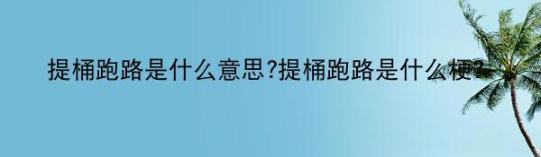 提桶跑路是什么意思?提桶跑路是什么梗?