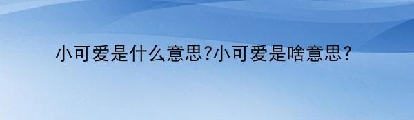 小可爱是什么意思?小可爱是啥意思？