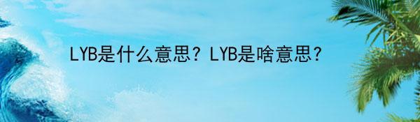 LYB是什么意思? LYB是啥意思？