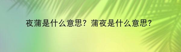 夜蒲是什么意思？蒲夜是什么意思？