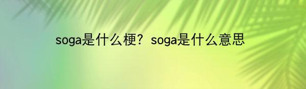 soga是什么梗？soga是什么意思