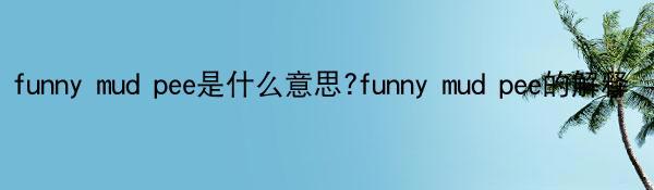 funny mud pee是什么意思?funny mud pee的解释