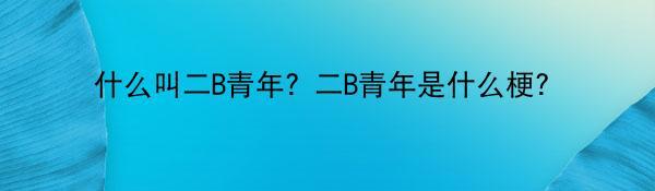 什么叫二B青年？二B青年是什么梗？