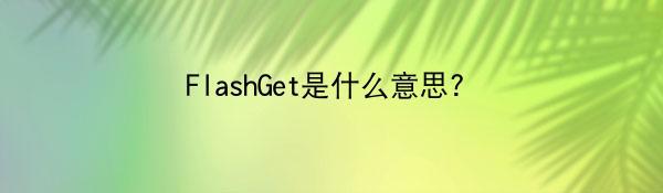 FlashGet是什么意思？