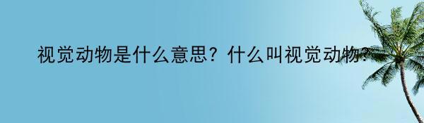 视觉动物是什么意思? 什么叫视觉动物?