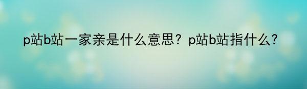 p站b站一家亲是什么意思？p站b站指什么？