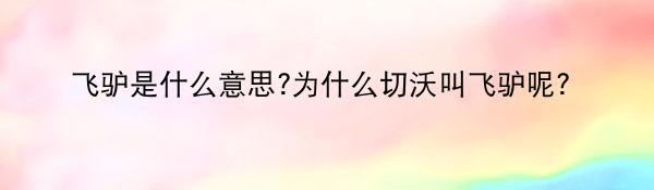 飞驴是什么意思?为什么切沃叫飞驴呢?