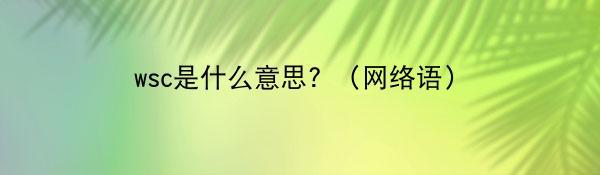 wsc是什么意思？（网络语）