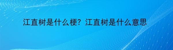 江直树是什么梗？江直树是什么意思