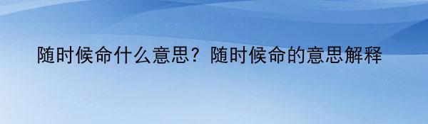 随时候命什么意思？随时候命的意思解释