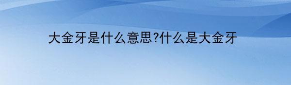 大金牙是什么意思?什么是大金牙