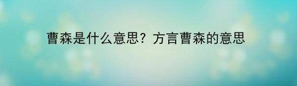 曹森是什么意思? 方言曹森的意思