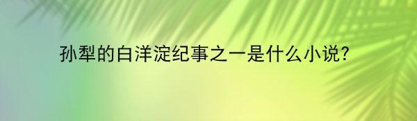 孙犁的白洋淀纪事之一是什么小说？