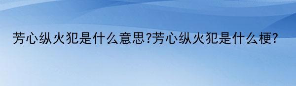 芳心纵火犯是什么意思?芳心纵火犯是什么梗?