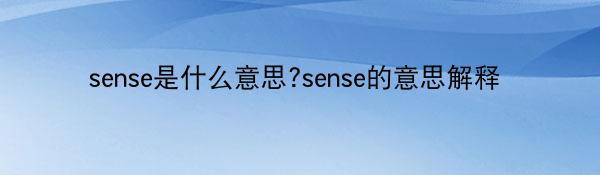 sense是什么意思?sense的意思解释