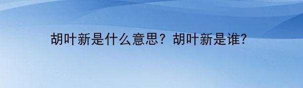 胡叶新是什么意思? 胡叶新是谁？