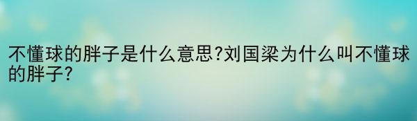 不懂球的胖子是什么意思?刘国梁为什么叫不懂球的胖子?