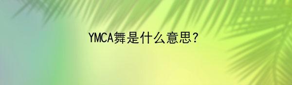 YMCA舞是什么意思?